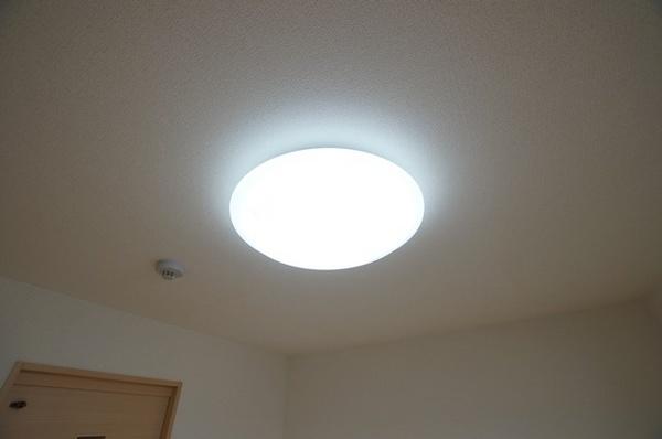 プラチナコート2