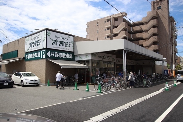 尼崎市塚口本町3丁目のハイツ(スーパーオオジ塚口店)