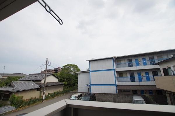 セジュール梅の木