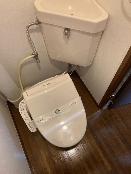 ユニバーシティＫＯ