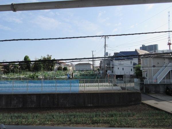 スターグリーム
