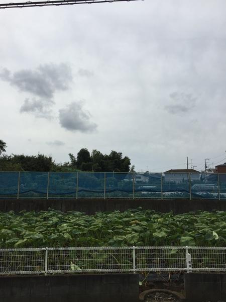 ムーンハイム渋谷