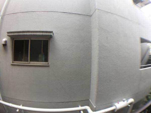 シャトルコウリン