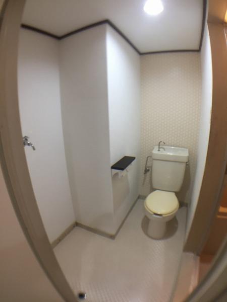 シャトルコウリン