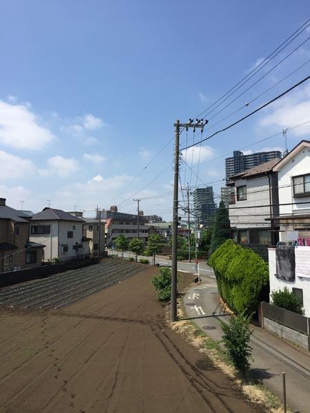 ローズヒルズ