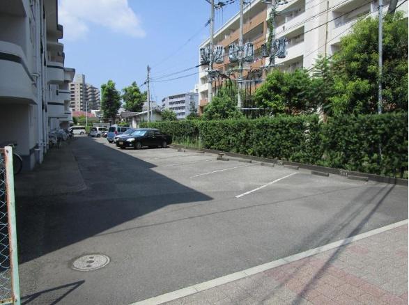第5オーキッド江平