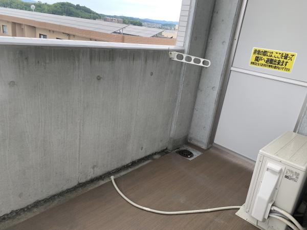 アルテマイスター鶴島
