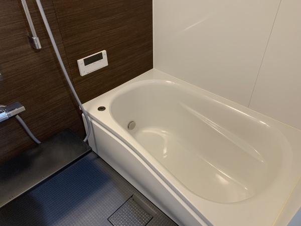 アルテマイスターカメリア