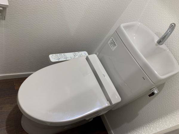 アルテマイスターカメリア