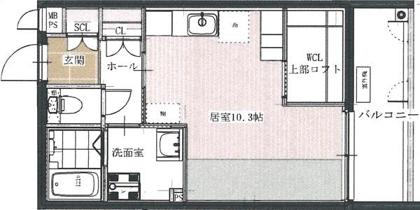 アルテマイスターカメリア