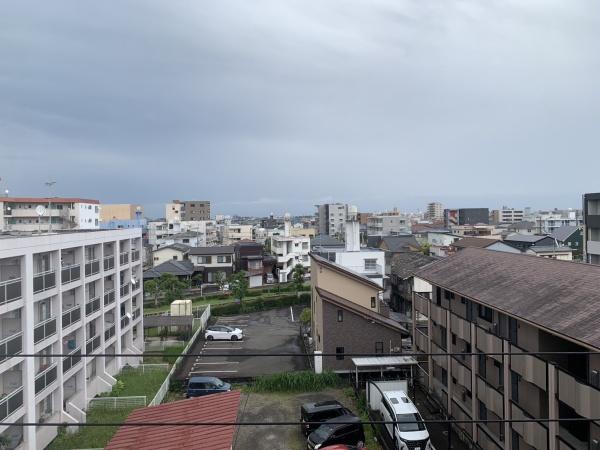 アルテマイスターカメリア