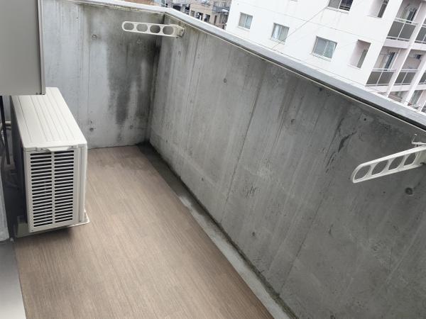 アルテマイスターカメリア