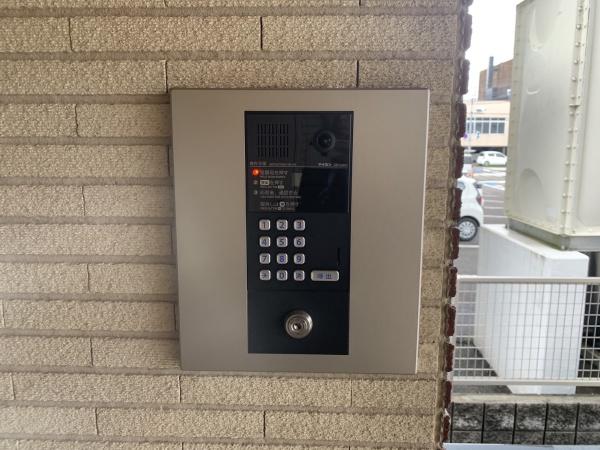 アルテマイスターカメリア