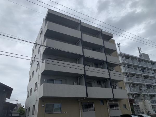 アルテマイスターカメリア