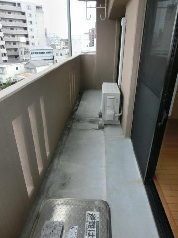 ぴゅあグリーン