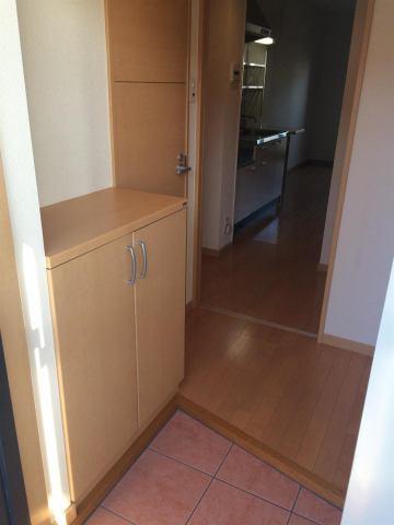 Maisonde太陽