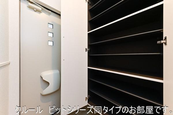 ウェル　アイランドＳ－１