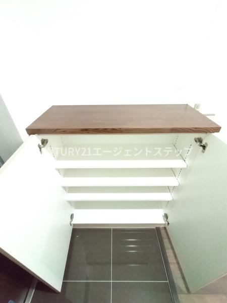 アルテマイスターレオ