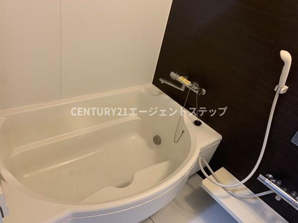 アルテマイスター丸山