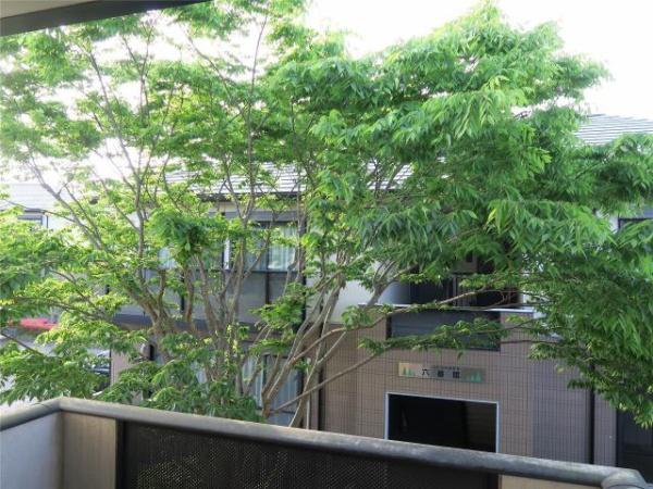 グリーンヒルズ生目台