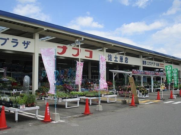 アンジュフラン