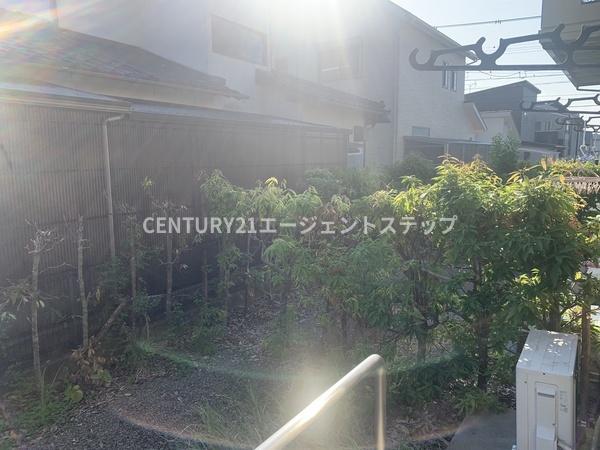 フォレストハイム