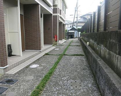 チェリーブロッサム明日花