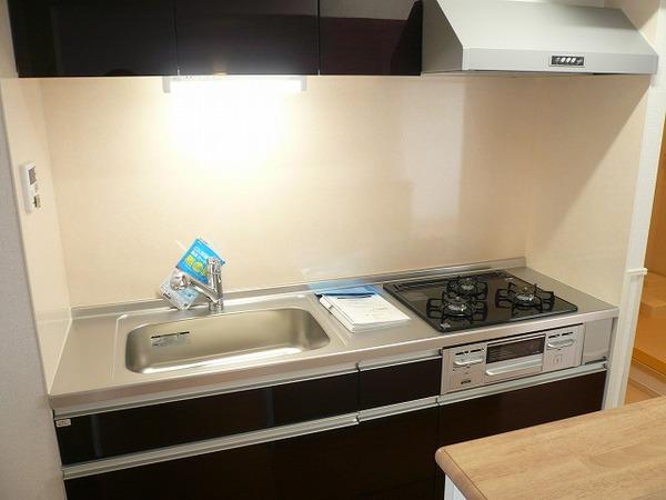 宮崎市田代町のマンション(キッチン)