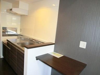 AlteMeisterDENON(キッチン)