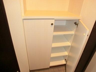 AlteMeisterDENON(収納)