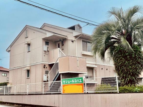 セジュールコバエA