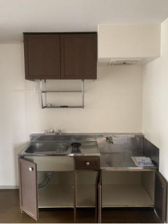 セジュールコバエA