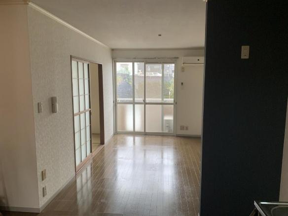 セジュールコバエA