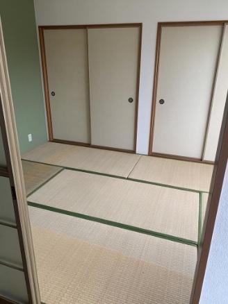 セジュールコバエA
