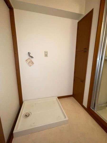 ピーチフローレ5(洗面台・洗面所)