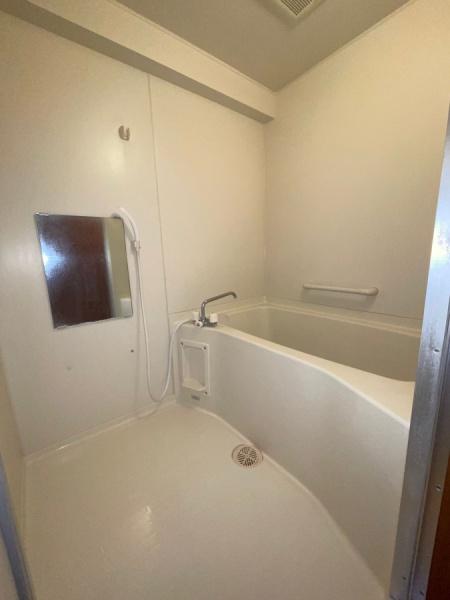 ピーチフローレ5(バス)