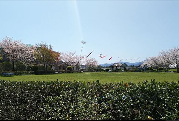 パインクレスト(加納公園)