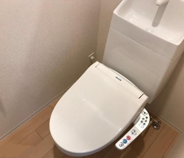 ノースフォレスター