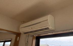 チェリーブロッサム1