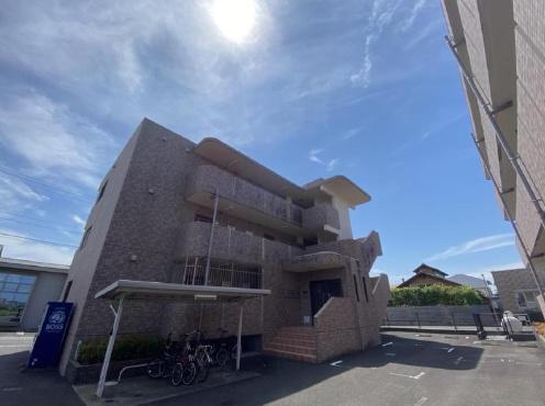 チェリーブロッサム1