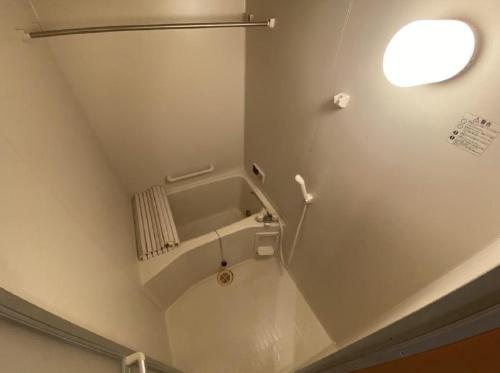 チェリーブロッサム1