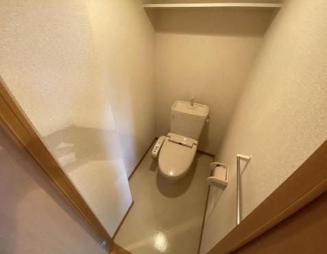 チェリーブロッサム1