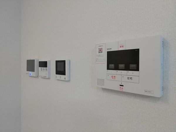 アルカコンネコスモス