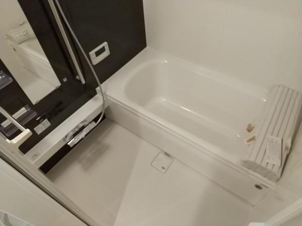 アルカコンネコスモス