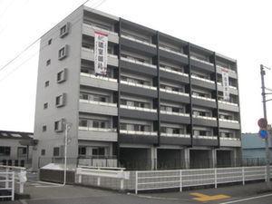 Y'sCourt