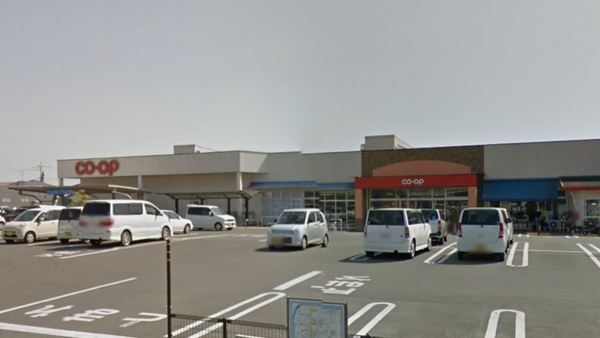 ハナミズキ　１(コープみやざき佐土原店)