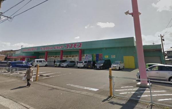 プランドール　カメリア(ディスカウントドラッグコスモス大坪店)