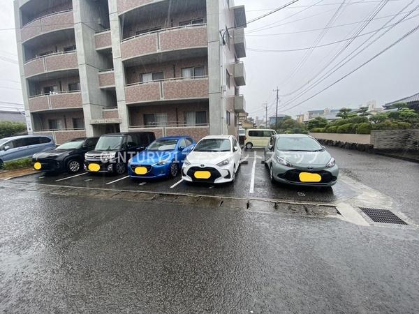 トリニティK