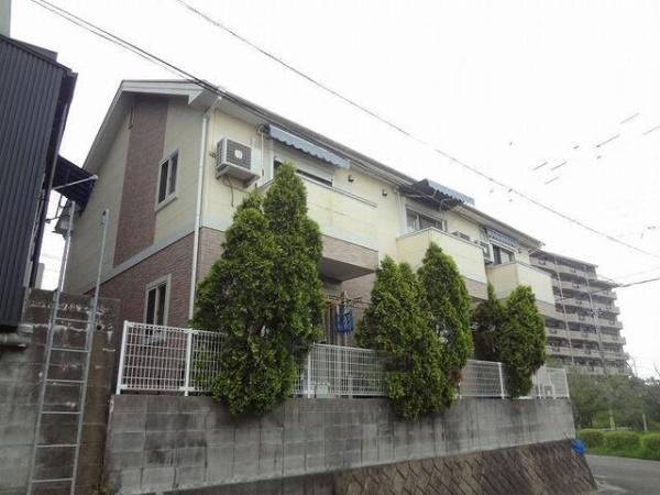 Y・Mエレガンス