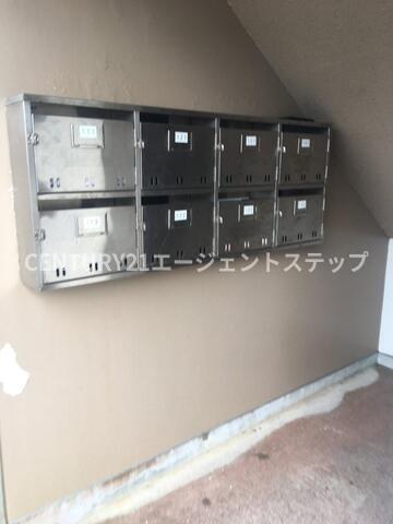 サルヴァトーレ花ヶ島